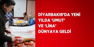 31706297822221924903