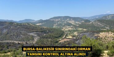 31709267282910426275tasarimli