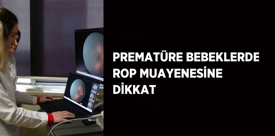 31712232802455022645