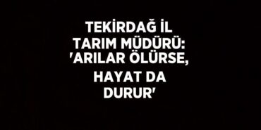31715234032137430588tasarimli