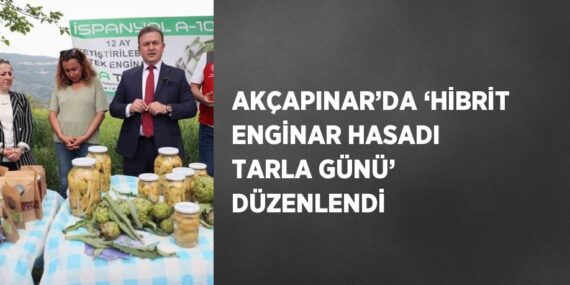 AKÇAPINAR’DA ‘HİBRİT ENGİNAR HASADI TARLA GÜNÜ’ DÜZENLENDİ