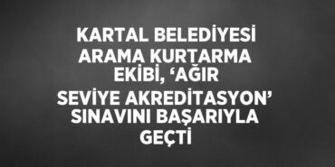31718261872946426831tasarimli