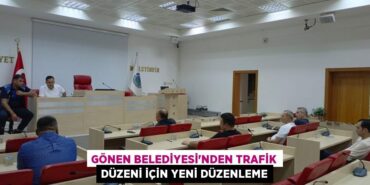 31728239072024725603tasarimli