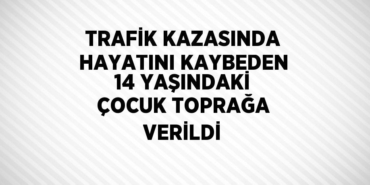 31728282232822821733tasarimli