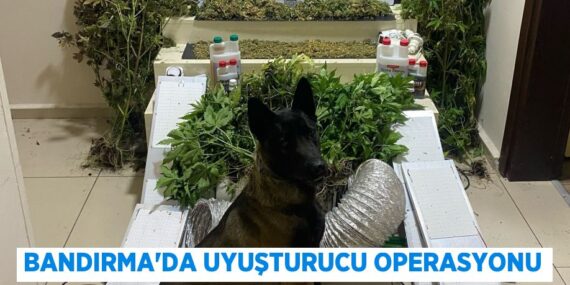 BANDIRMA’DA UYUŞTURUCU OPERASYONU