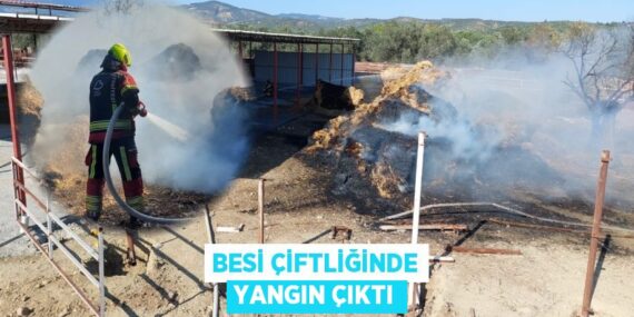Besi çiftliğinde yangın çıktı
