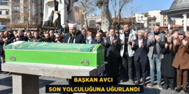 31730237532778526637tasarimli