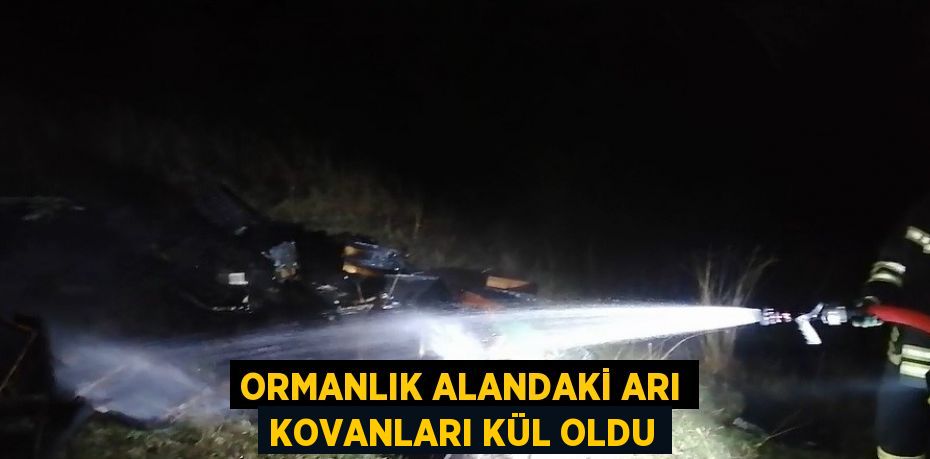 31731219072858920341tasarimli