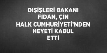 31732239442045921736tasarimli