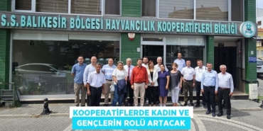 31732296852535729436tasarimli