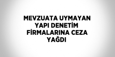 31737212673142426872tasarimli
