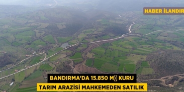 31740244093042926272tasarimli