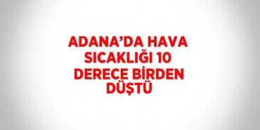 31742222092988721866tasarimli