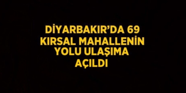 31748268162741431536tasarimli