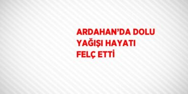 31751253032719825422