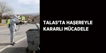 31751310122145324036