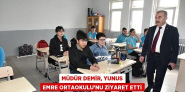 31752266852488129336tasarimli