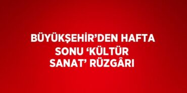 31754206702786720260tasarimli