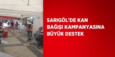 31755203052234123552