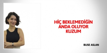 31755312262541529288