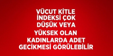 31756205182100229125tasarimli