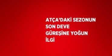 31764314352255223541