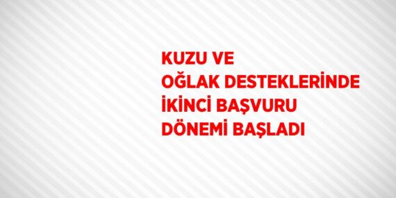 KUZU VE OĞLAK DESTEKLERİNDE İKİNCİ BAŞVURU DÖNEMİ BAŞLADI