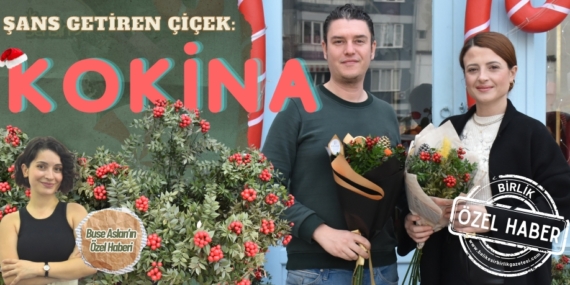 Şans getiren çiçek:  KOKİNA