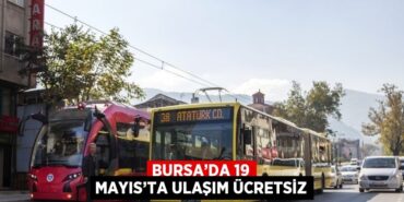 31767224482686228757tasarimli