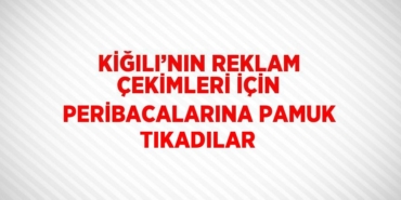 31768265512813325341tasarimli