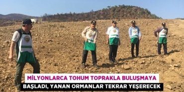 31771313452067526985tasarimli