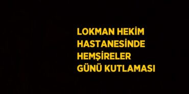 31772235373034926006