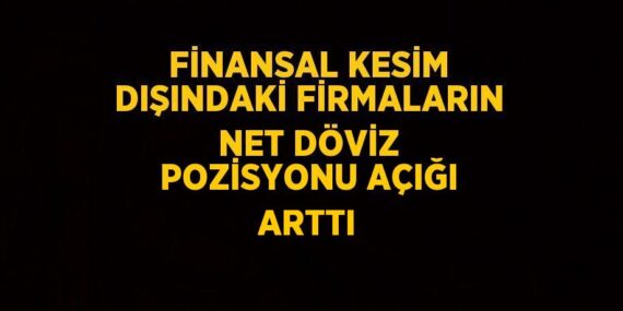 FİNANSAL KESİM DIŞINDAKİ FİRMALARIN NET DÖVİZ POZİSYONU AÇIĞI ARTTI