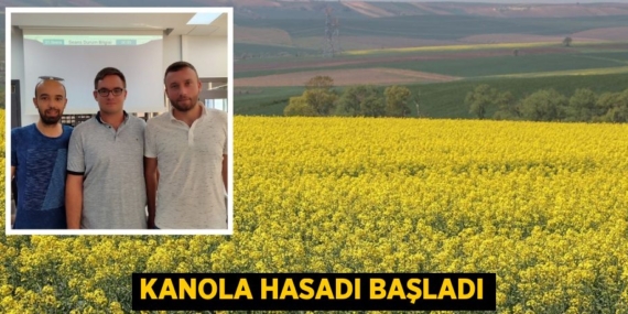 KANOLA HASADI BAŞLADI
