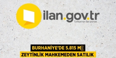31777234693047425156tasarimli