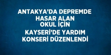 31777317102945228997tasarimli