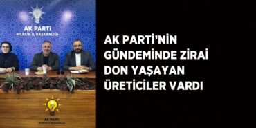 31778228723108027244