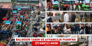 31778303662555720087tasarimli