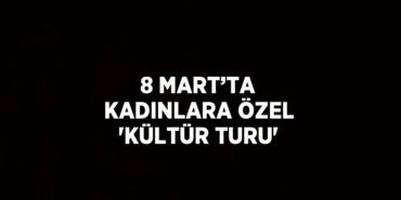 31779292032785327240tasarimli
