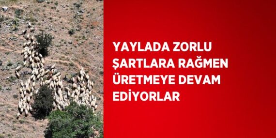 YAYLADA ZORLU ŞARTLARA RAĞMEN ÜRETMEYE DEVAM EDİYORLAR