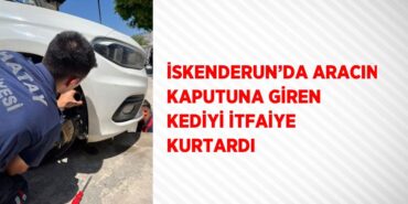 31782250602462024595