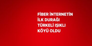 31782266652319228162