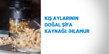 31783286482804221437