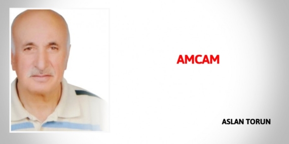 AMCAM