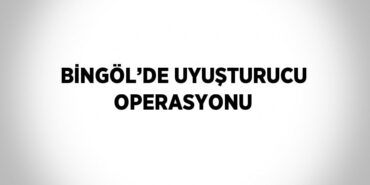 31785259822878621049tasarimli