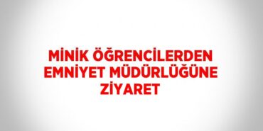 31787279112342628786tasarimli
