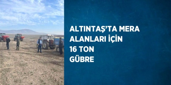 ALTINTAŞ’TA MERA ALANLARI İÇİN 16 TON GÜBRE