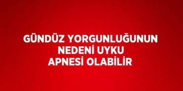 31790268212276123981tasarimli