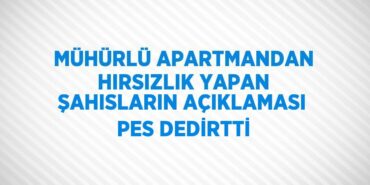 31791283332105930366tasarimli