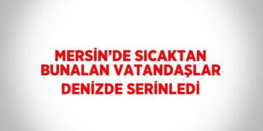 31795291962904623034tasarimli